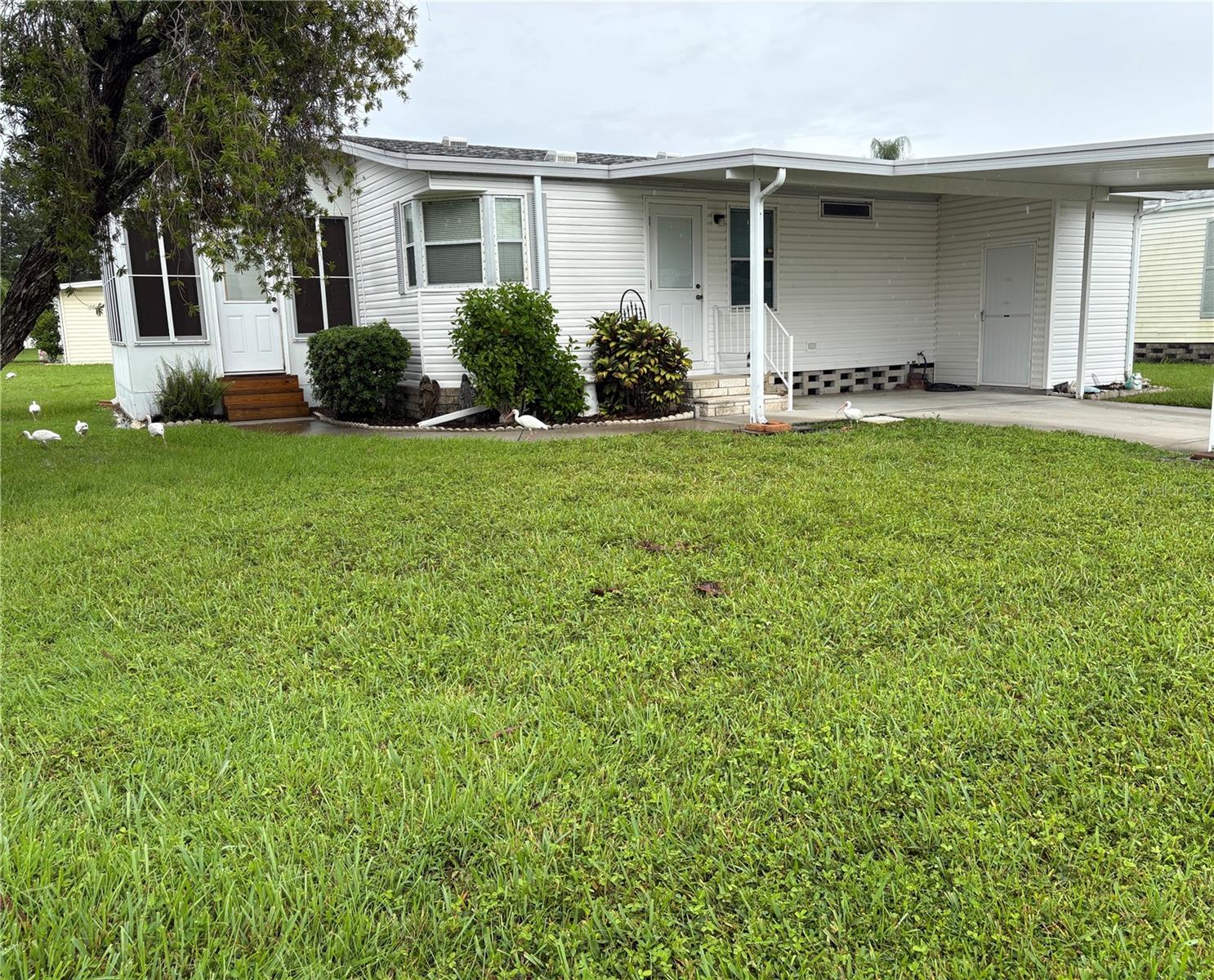 Great little hidden gem! 2 Bedroom 2 full baths and nice size lanai. A beautiful, gated community with outstanding amenities. The monthly newsletter always has a Calendar of Events and great neighbors already in place to enjoy them with. Gold Tree is centrally located to banks, eateries, hospitals, UTC Mall, Benderson Park, shopping, Riverwalk and best of all the beautiful beaches always rated among top beaches in the U.S. Association says 55+, rentals allowed, and your pets are welcome!
