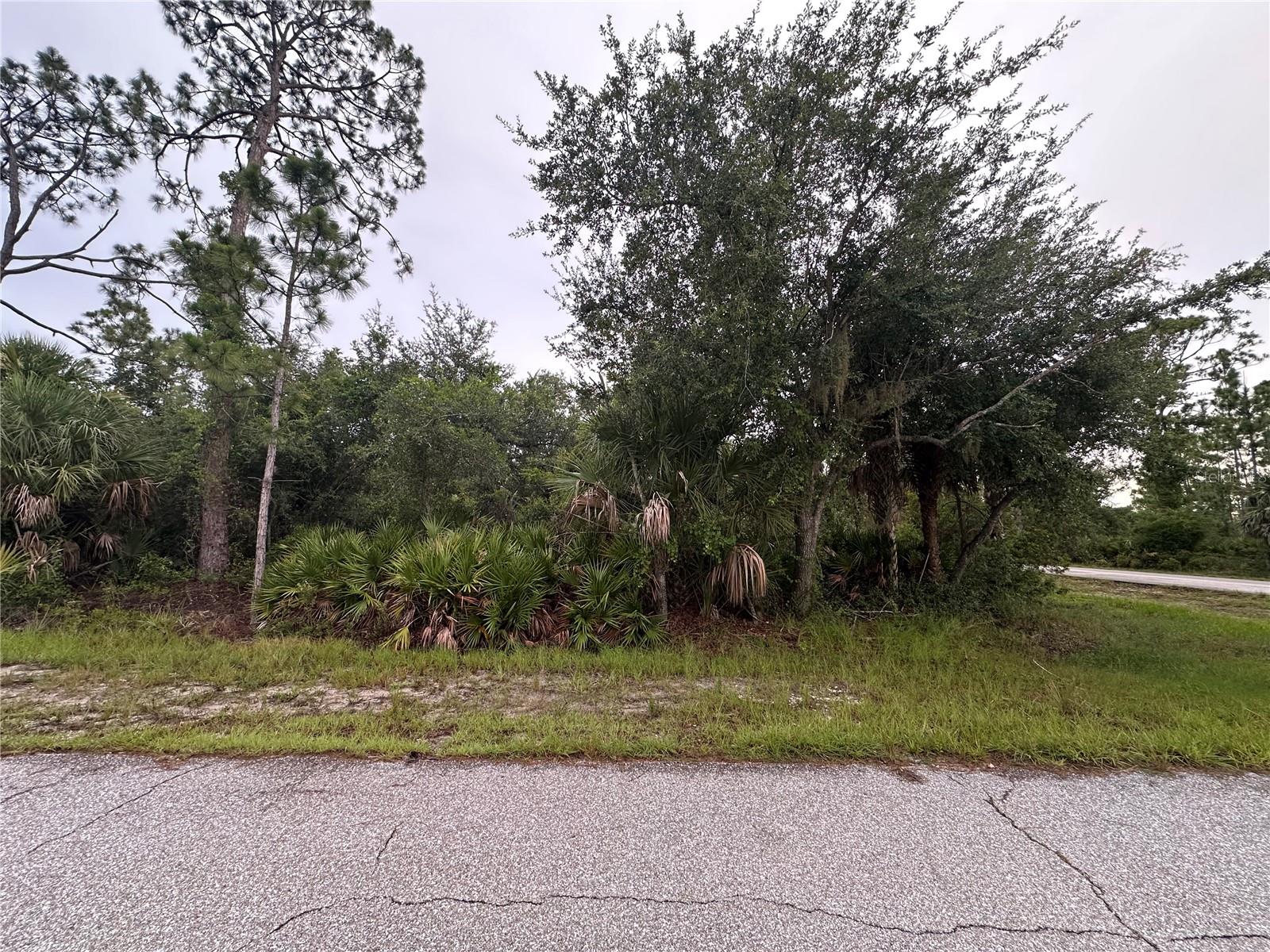 This exceptional oversized corner lot is situated in a sought-after, budget-friendly neighborhood near schools, shops, and parks. Whether you’re ready to build your dream home now or prefer to hold onto it for the future, it’s a smart investment either way. Why not invest in your future today?