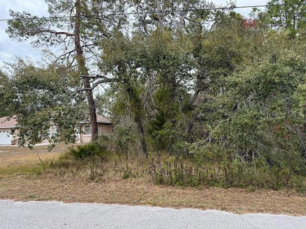 Photo of 10439 Gypsy Avenue, Weeki Wachee, FL 34613 (MLS # TB8459774)