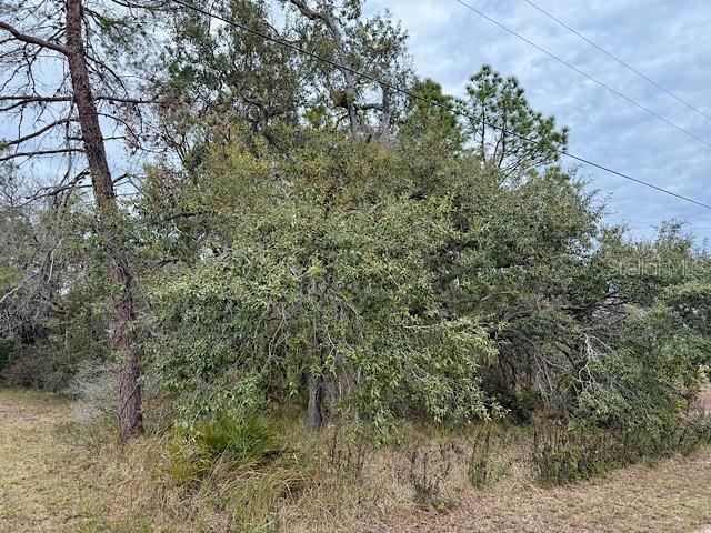 ROYAL HIGHLANDS - Land