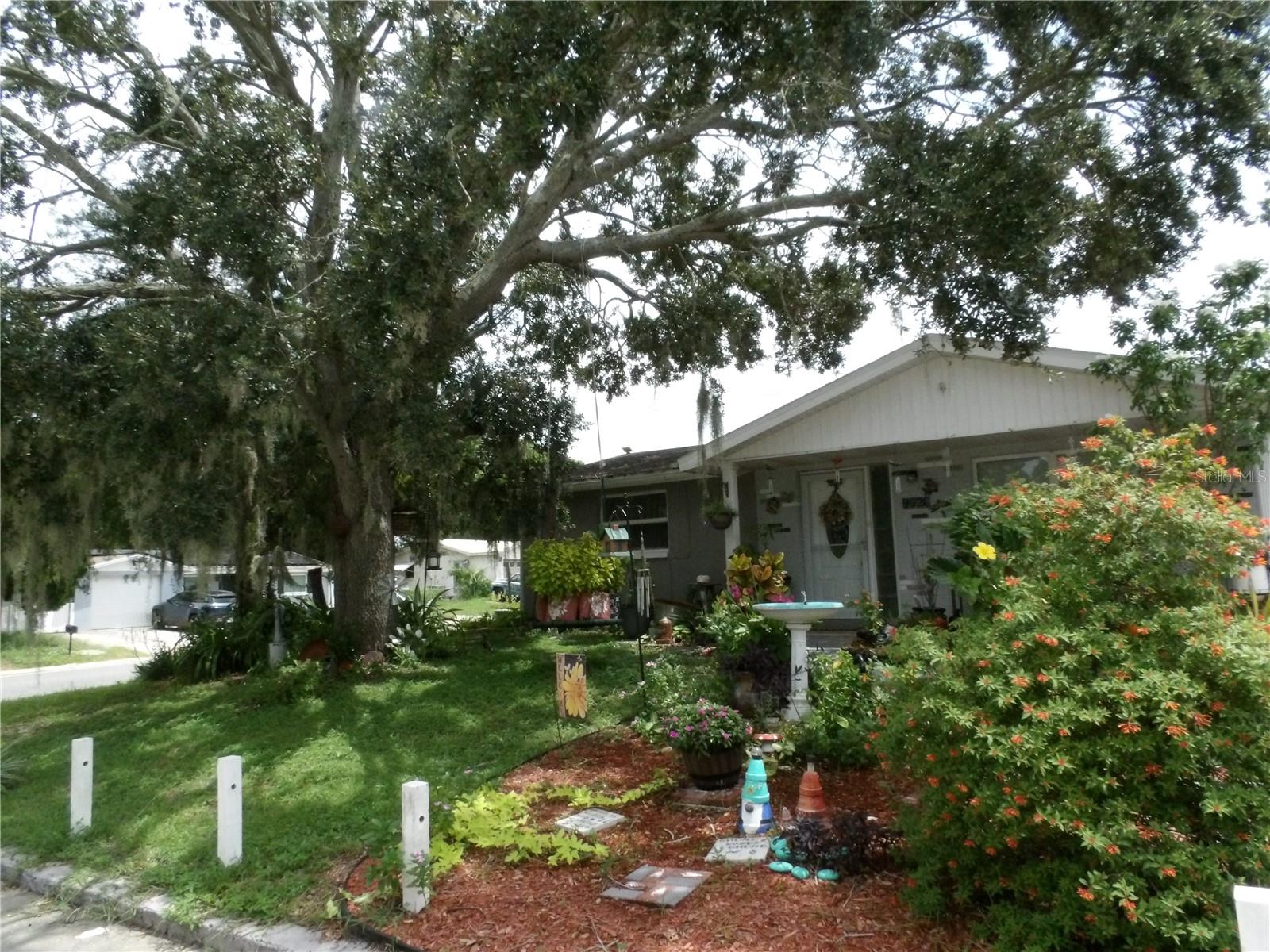 One or more photo(s) has been virtually staged. This charming 2 bedroom, 1 bathroom home features a sparkling above-ground pool perfect for Florida living and relaxation.
The exterior welcomes you with beautiful mature landscaping including vibrant flowering bushes and a large shade tree creating natural curb appeal. The home offers a 2nd parking pad or driveway on the side of the home. The above-ground pool provides the perfect backyard oasis for year-round enjoyment. The screened lanai offers additional outdoor living space ideal for dining and relaxation.
Step inside to discover an open floor plan with beautiful wood laminate flooring throughout the main living areas. The spacious dining room features warm wood furnishings and flows seamlessly into the living areas. The kitchen offers convenient access to the screened lanai for easy indoor-outdoor entertaining. The master suite retreat showcases updated paint and comfortable accommodations. The full bathroom has been tastefully updated with modern tile work and contemporary fixtures. The second bedroom provides flexible space perfect as a guest room or home office.
The backyard is your private sanctuary with the above-ground pool, mature landscaping, and screened lanai perfect for hosting gatherings. The completely fenced backyard with vinyl fencing provides privacy and security. The screened lanai extends your living space outdoors with room for dining and relaxation while protecting from insects. Located in a quiet residential neighborhood with easy access to New Port Richey's vibrant downtown featuring historic Main Street with over 20 unique shops, 25+ restaurants offering international cuisine, four local breweries, and the historic Richey Suncoast Theatre. Enjoy nearby Sims Park with its amphitheater and riverfront boardwalk, plus outdoor adventures at Jay B. Starkey Wilderness Park and Robert K. Rees Memorial Park with Gulf access. Just minutes from the beautiful Gulf Coast beaches and approximately 30 miles northwest of Tampa.