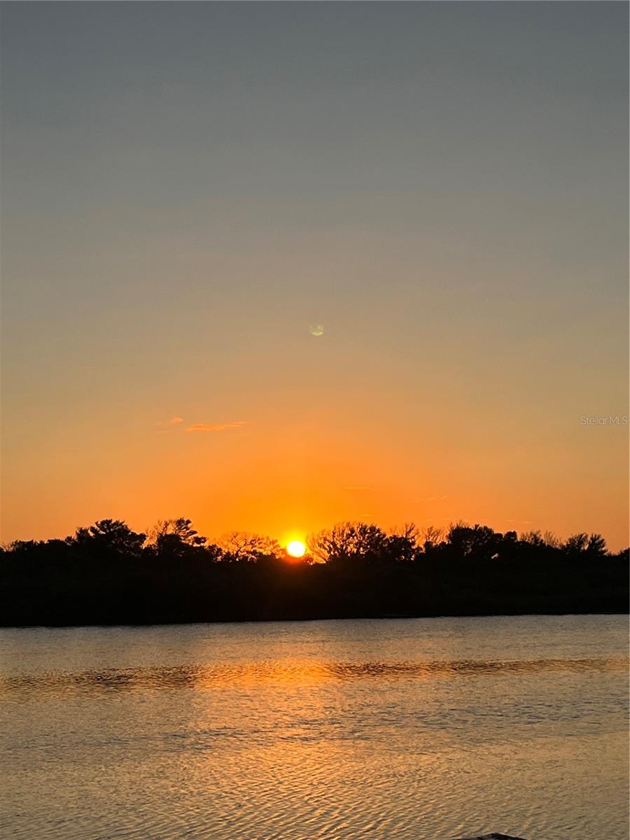 CUSTERS PALM HARBOR SUB - Residential