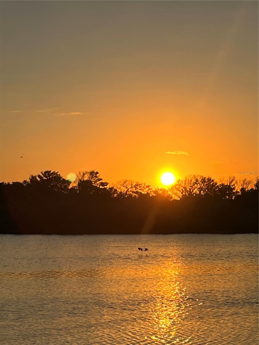 CUSTERS PALM HARBOR SUB - Residential