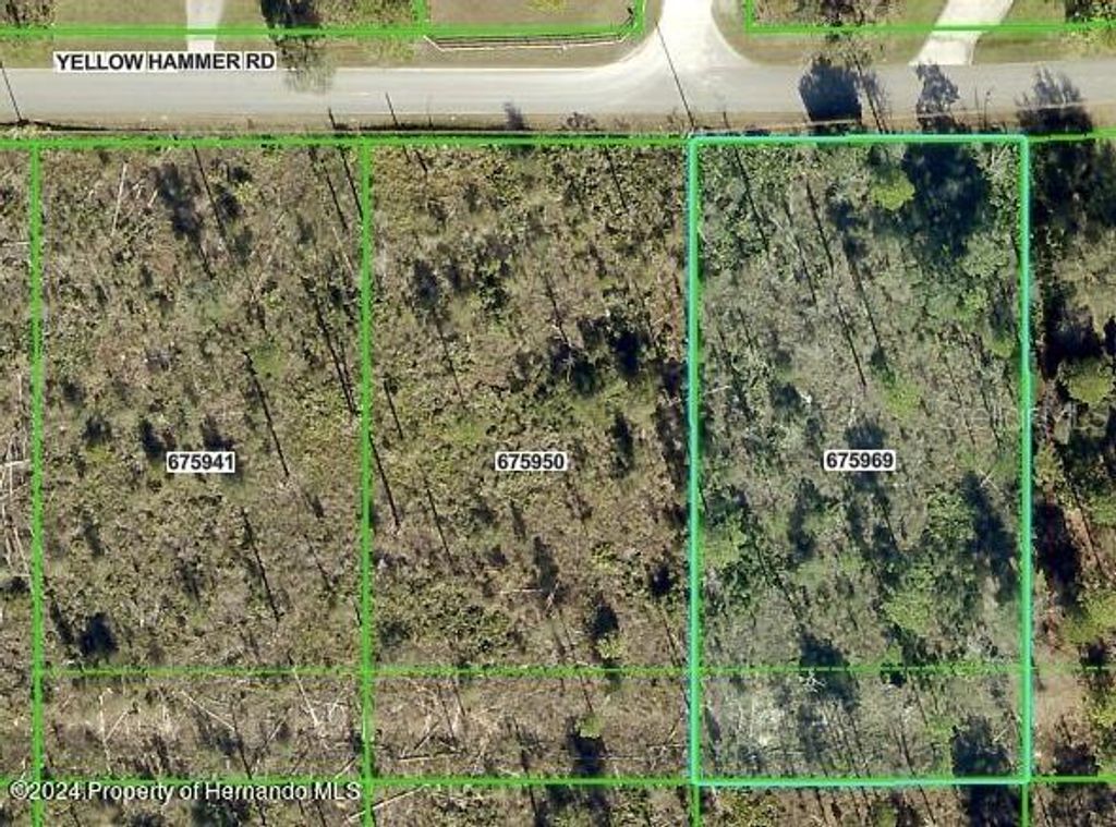 Photo of 11130 Yellow Hammer Road, Weeki Wachee, FL 34614 (MLS # W7877869)