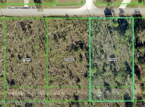 11130 YELLOW HAMMER ROAD WEEKI WACHEE FL 34614
