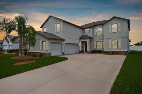 13913 FELIX WILL ROAD RIVERVIEW FL 33579