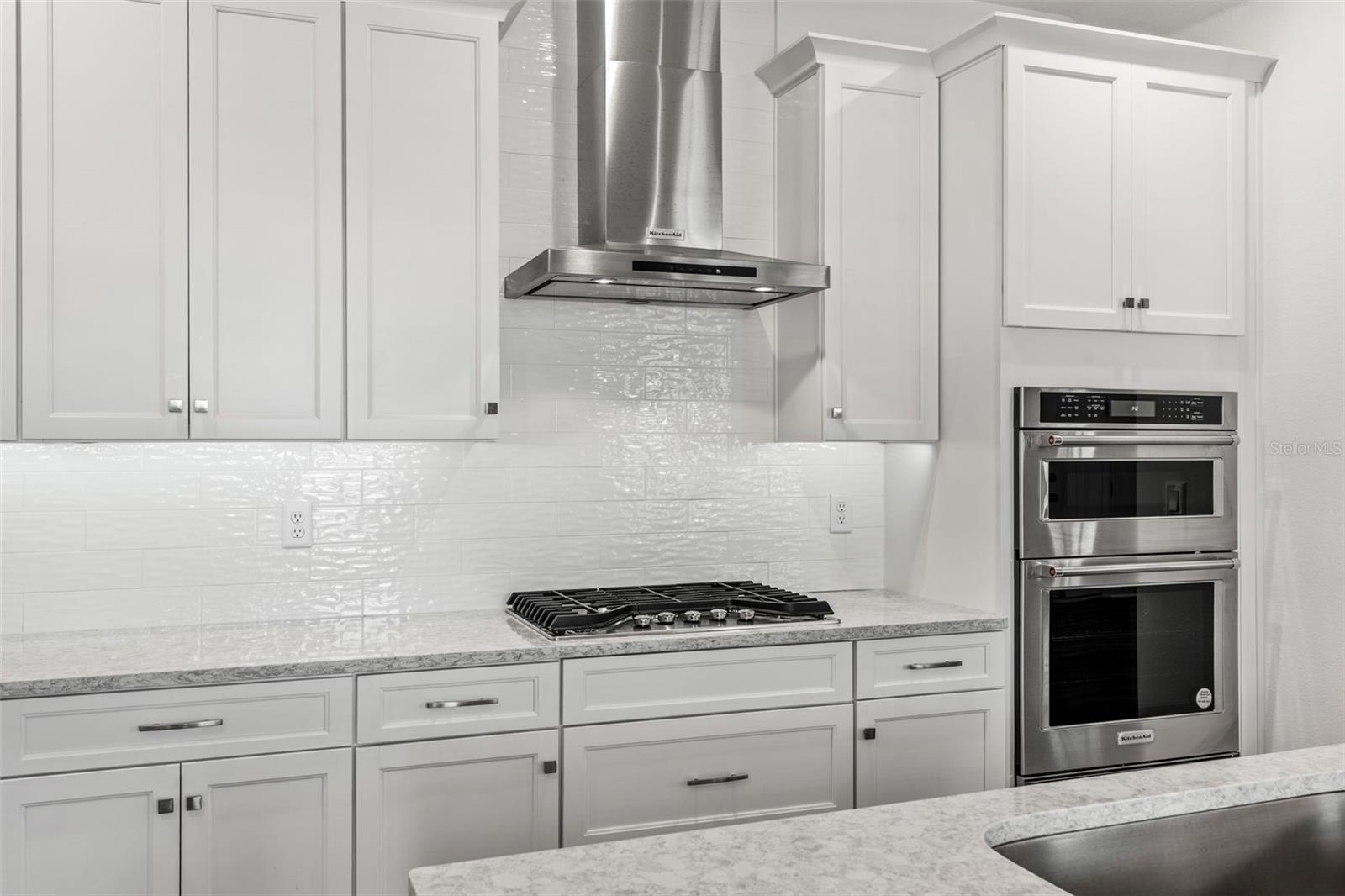 CELEBRATION ISLAND VILLAGE - Residential