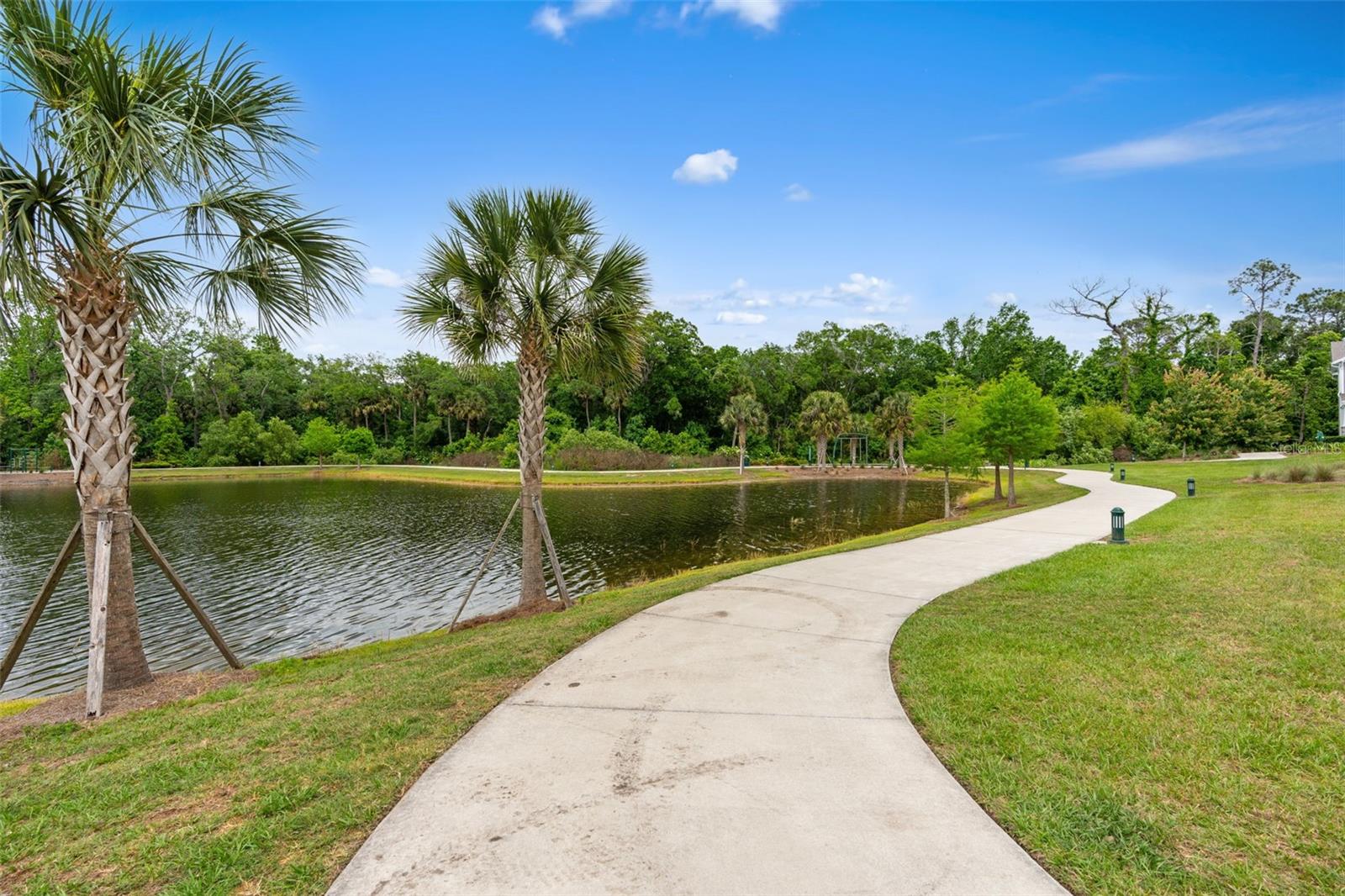 CELEBRATION ISLAND VILLAGE - Residential