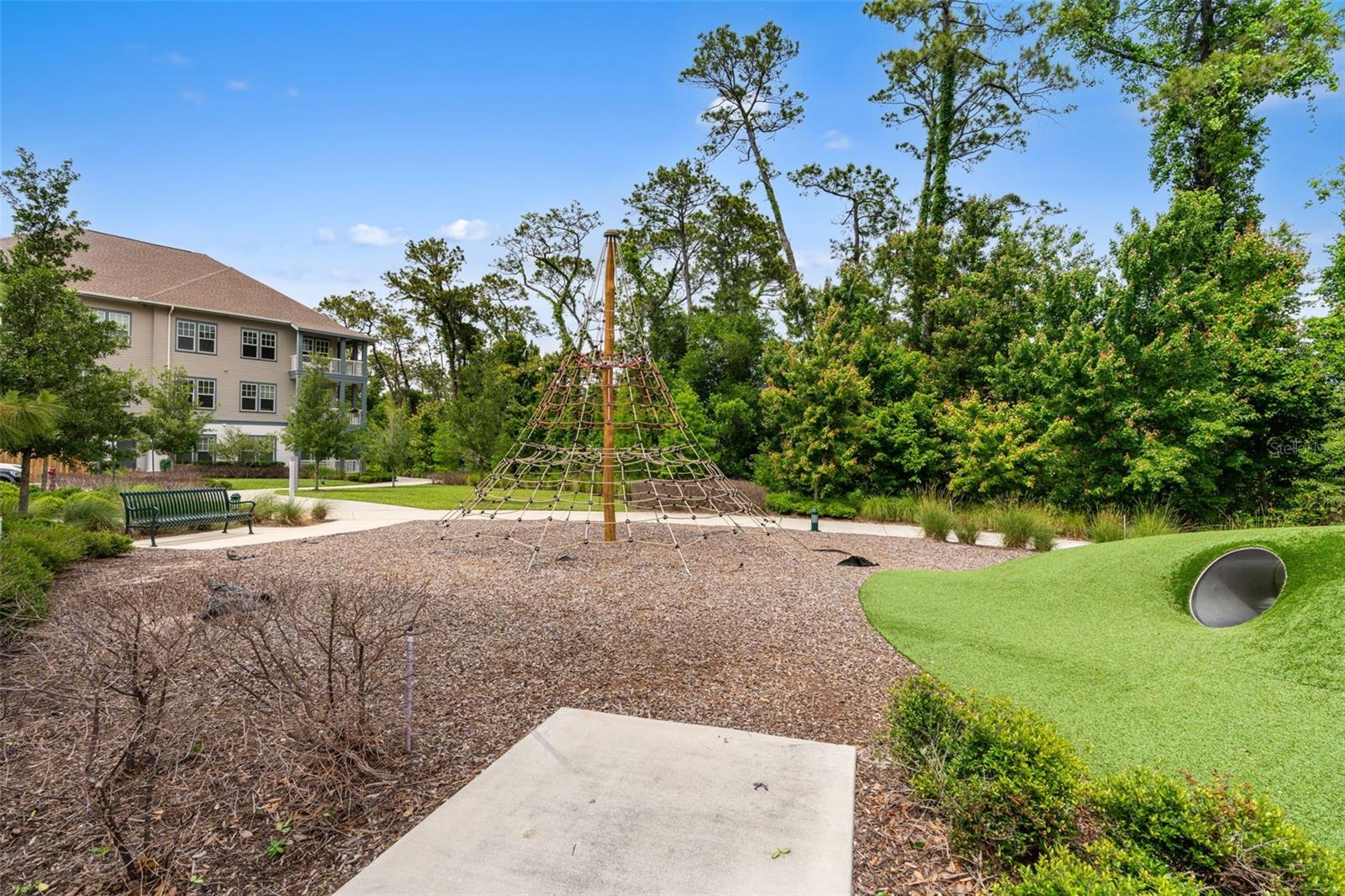 CELEBRATION ISLAND VILLAGE - Residential