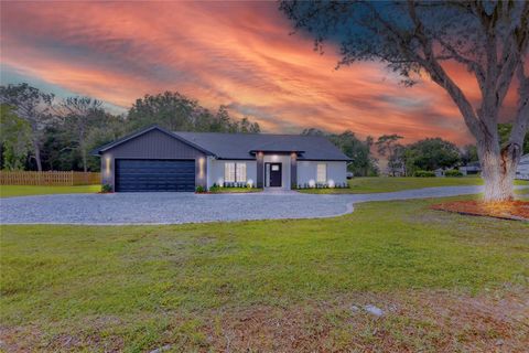 Photo of 4025 Meadow Run Lane, Wesley Chapel, FL 33543 (MLS # O6340998)