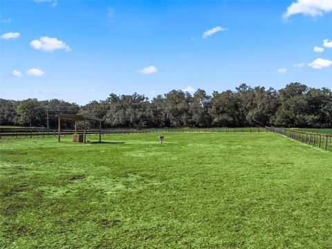 Tiny photo for 19331 E Levy Street, Williston, FL 32696 (MLS # OM716881)