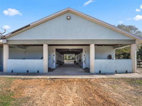 Tiny photo for 19331 E Levy Street, Williston, FL 32696 (MLS # OM716881)