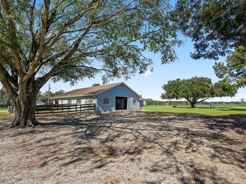 Tiny photo for 19331 E Levy Street, Williston, FL 32696 (MLS # OM716881)