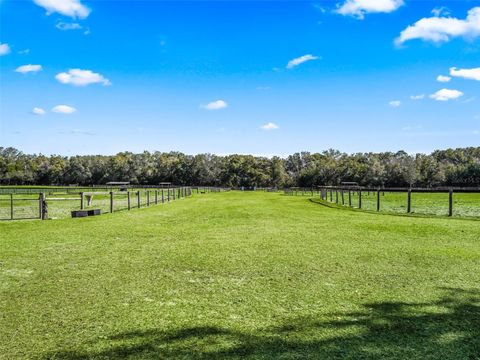 Tiny photo for 19331 E Levy Street, Williston, FL 32696 (MLS # OM716881)