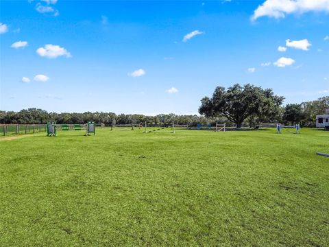 Tiny photo for 19331 E Levy Street, Williston, FL 32696 (MLS # OM716881)