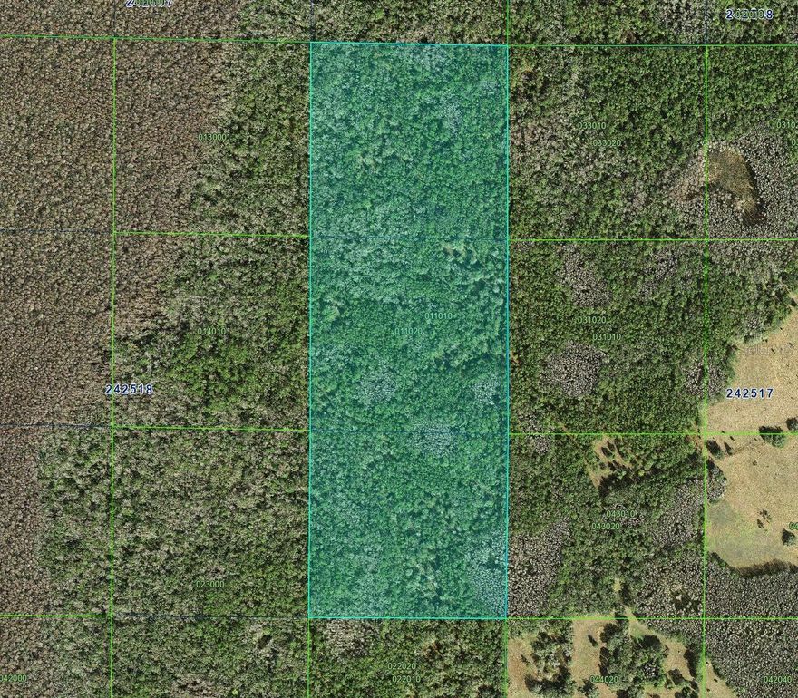Seller Financing Available! Rare opportunity to secure 120 ACRES OF MINERAL RIGHTS in Polk County. Ownership of mineral rights can provide long-term potential and control over valuable underground resources while requiring little to no maintenance. This is a unique chance to hold a hard asset that can create future opportunity, investment value, and diversification beyond traditional real estate.

Located in a growing area of Central Florida, these mineral rights position you to benefit from future development and resource exploration in the region. Opportunities like this do not come around often, especially in areas seeing continued growth.

Seller financing available, making it easier to secure ownership without going through traditional lenders. If you’re looking for a strategic land-related investment with strong upside potential, this is one worth acting on. Serious buyers should move quickly—assets like this rarely stay available for long.