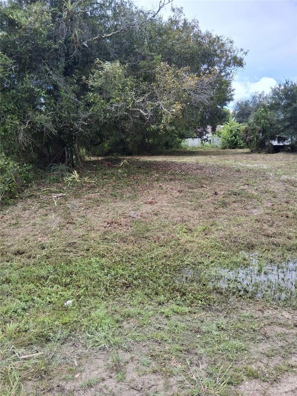 Photo of 14070 Carlos St, Fort Myers, FL 33905 (MLS # O6409205)