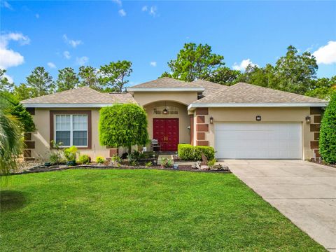 17 SWEETBAY COURT HOMOSASSA FL 34446