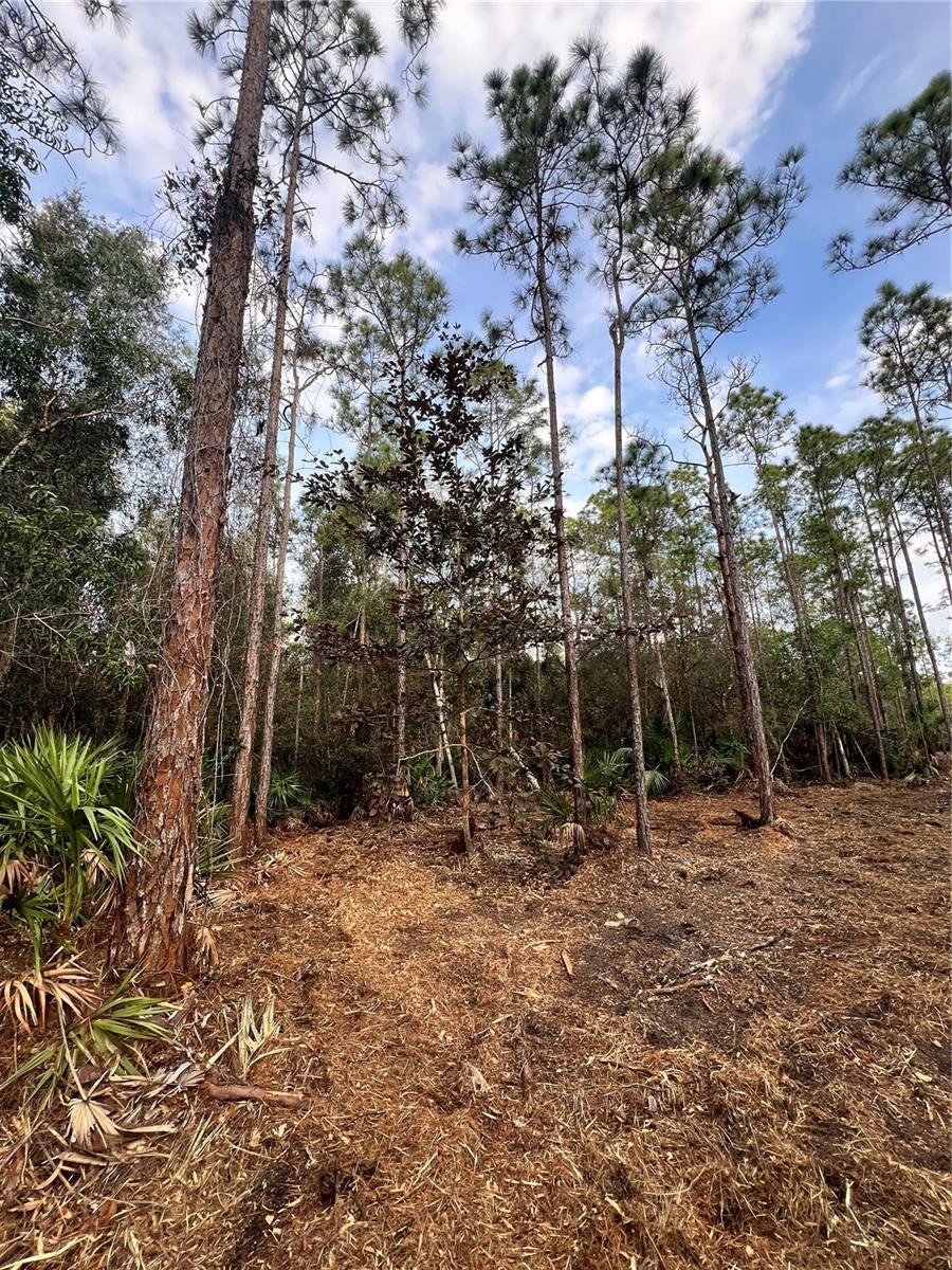 ACREAGE HEADER - Land