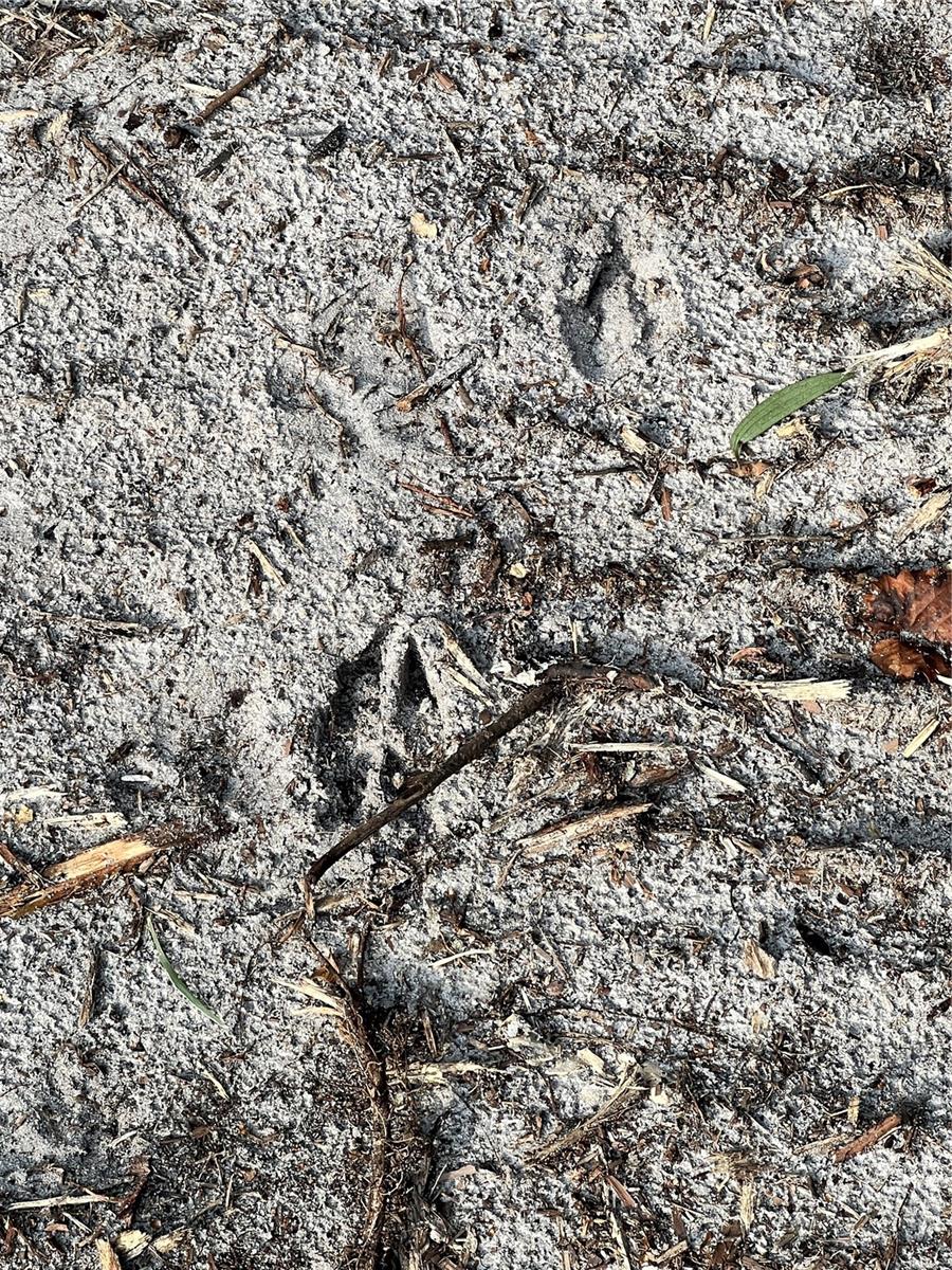 ACREAGE HEADER - Land