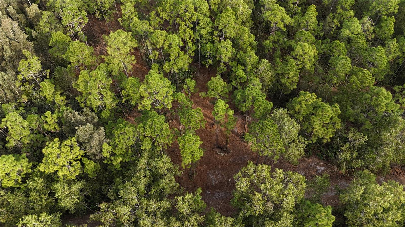 ACREAGE HEADER - Land