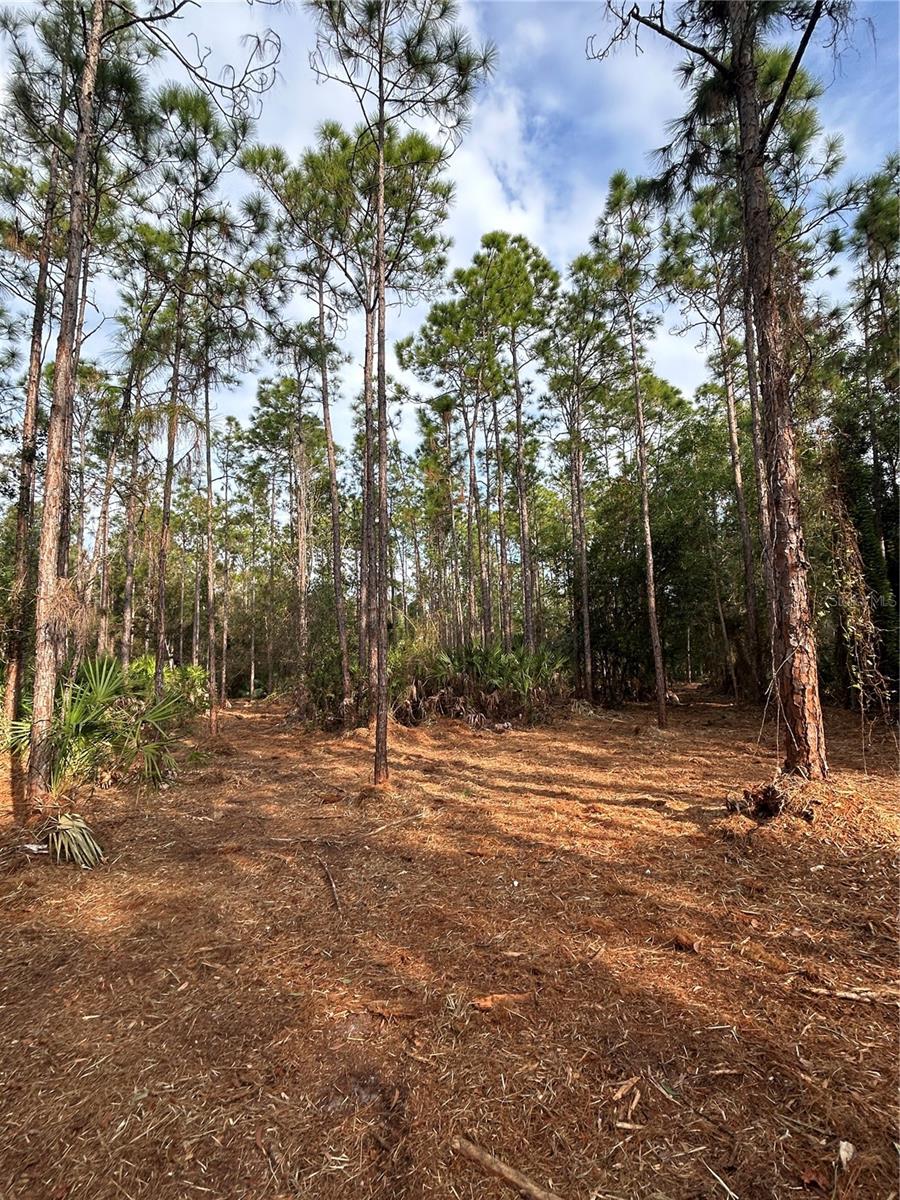 ACREAGE HEADER - Land