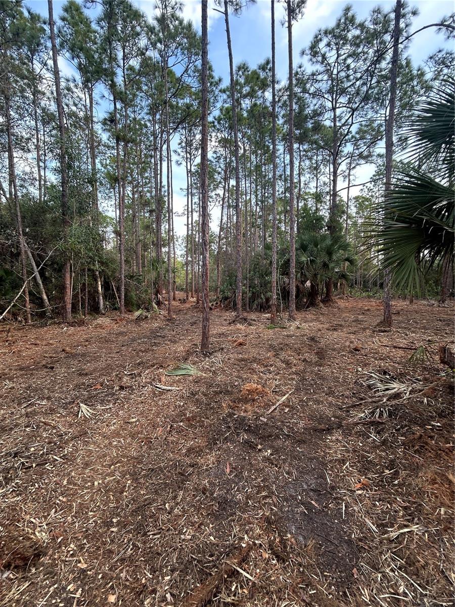 ACREAGE HEADER - Land