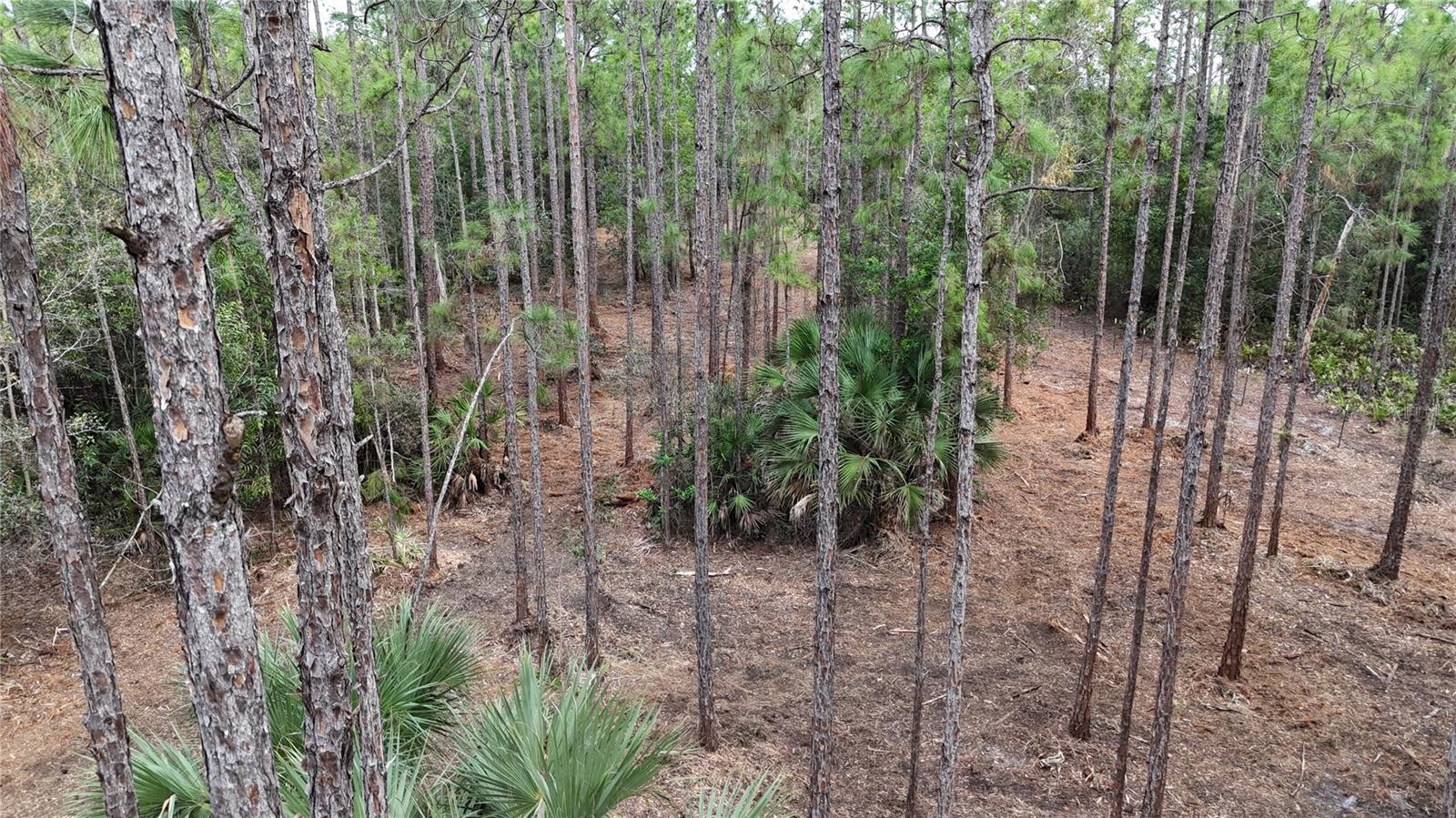 ACREAGE HEADER - Land