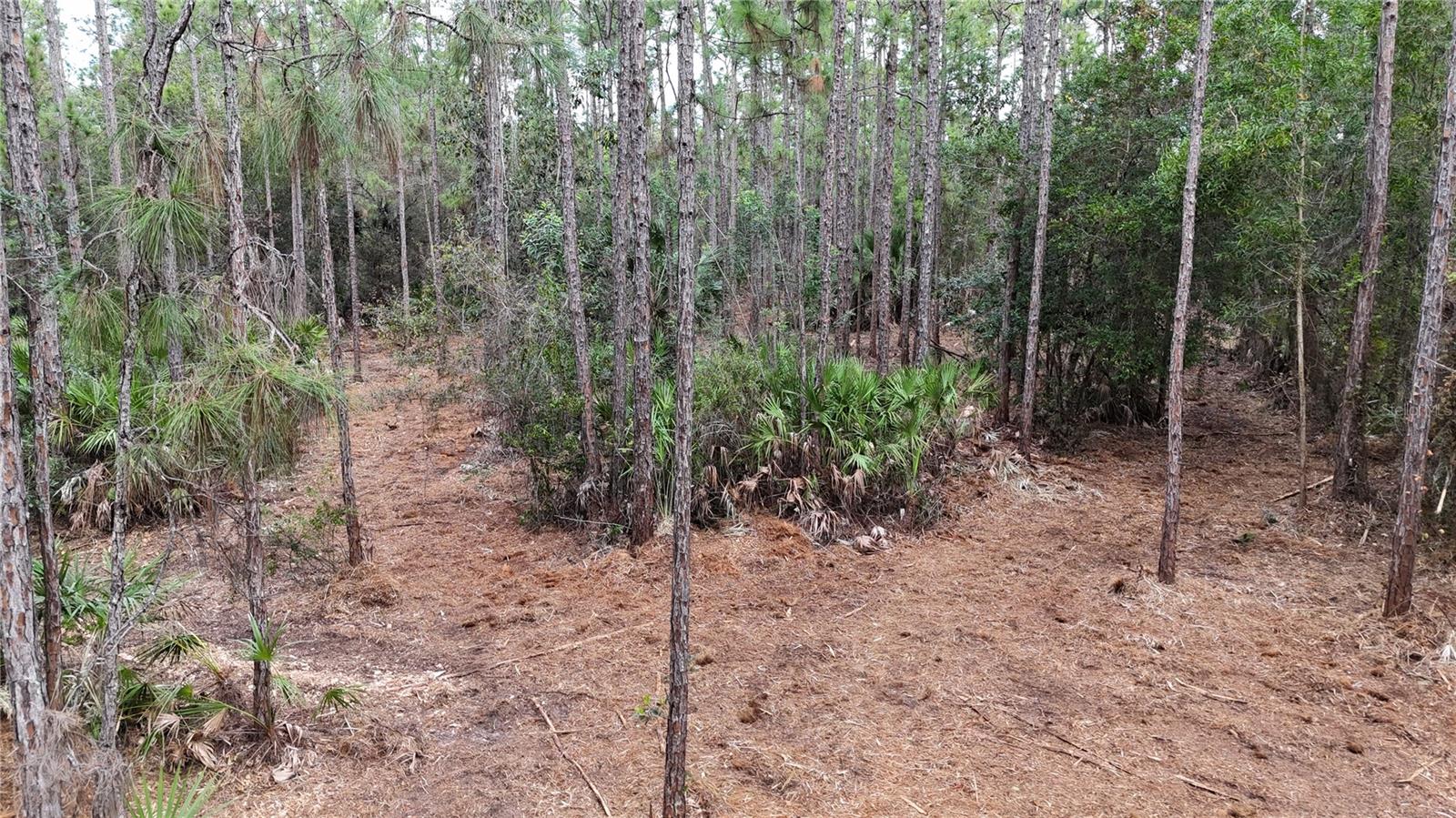 ACREAGE HEADER - Land