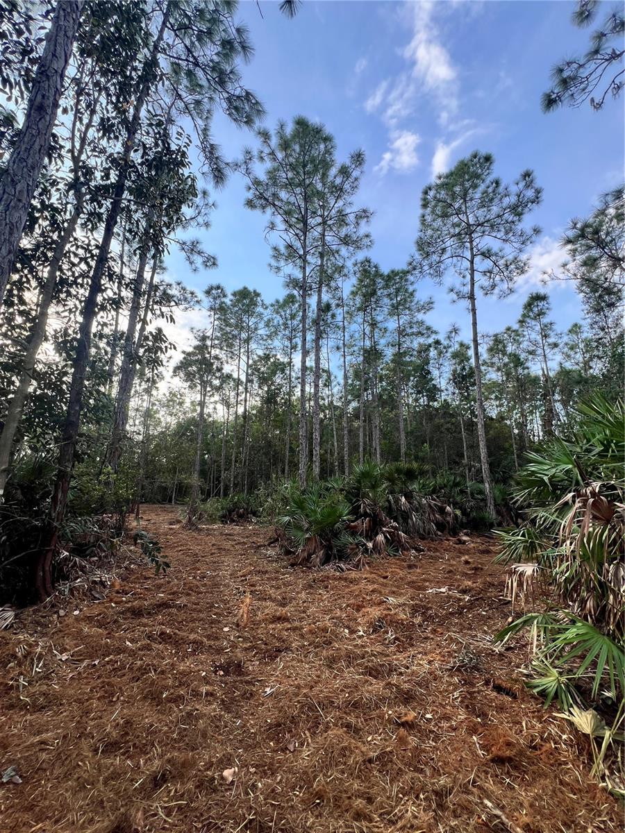 ACREAGE HEADER - Land