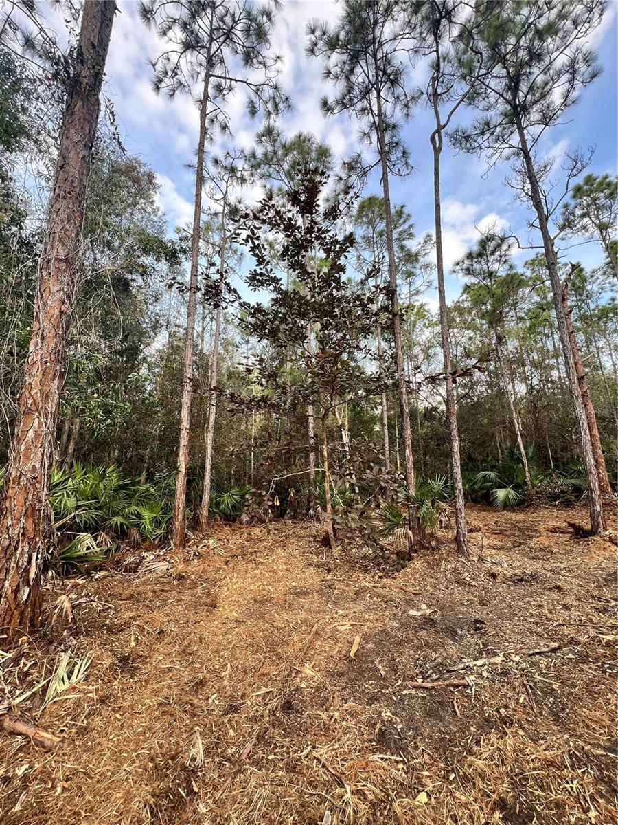 ACREAGE HEADER - Land