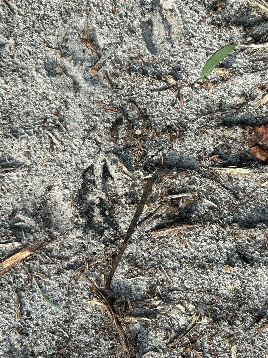 ACREAGE HEADER - Land