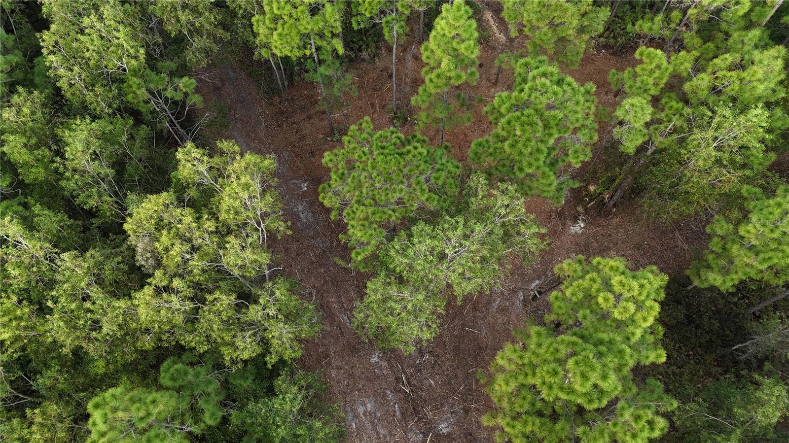 ACREAGE HEADER - Land