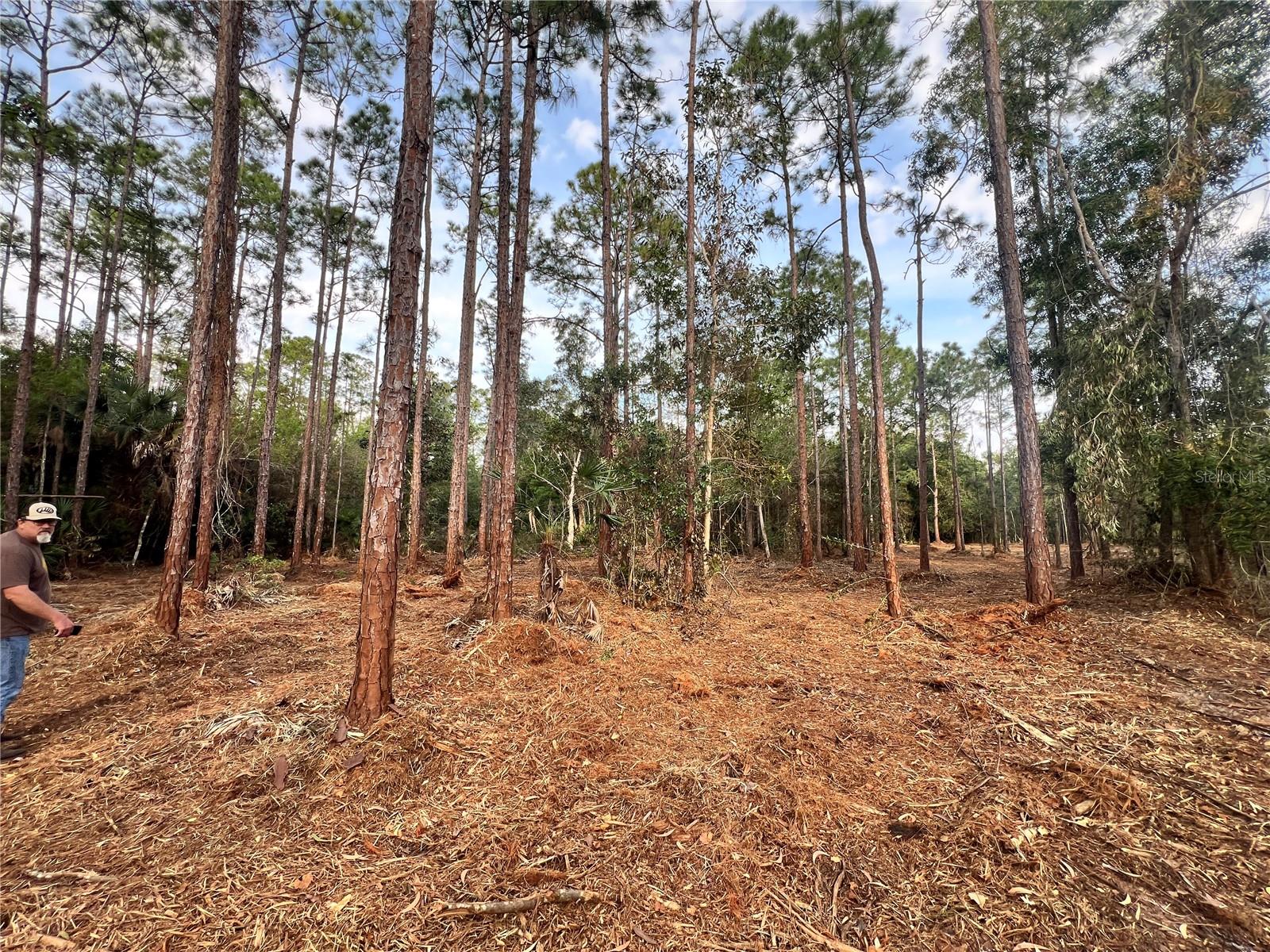 ACREAGE HEADER - Land