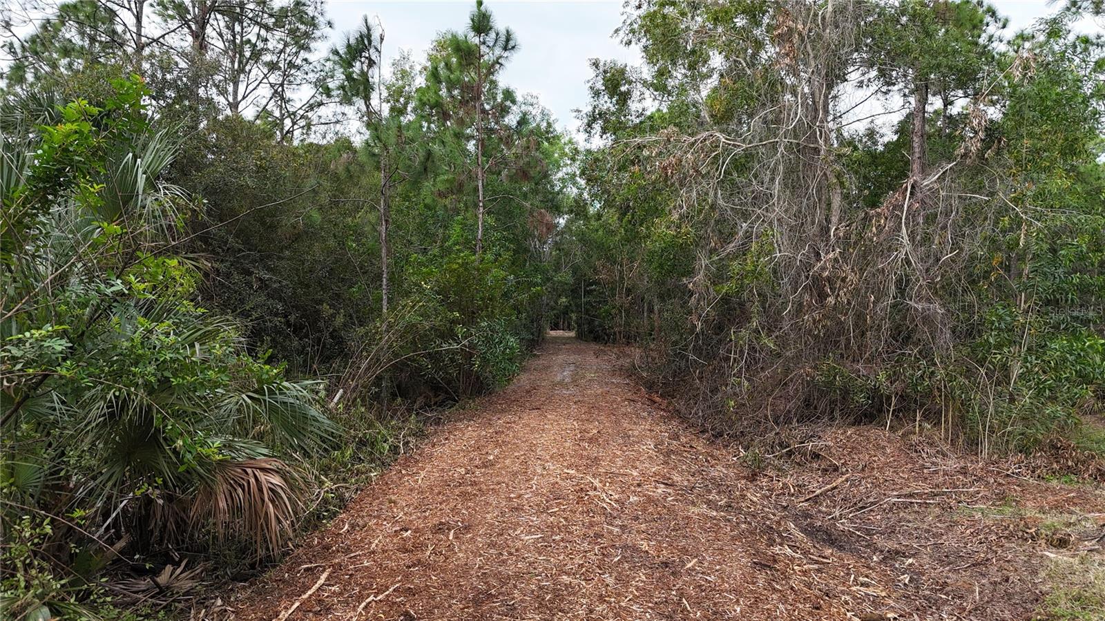 ACREAGE HEADER - Land