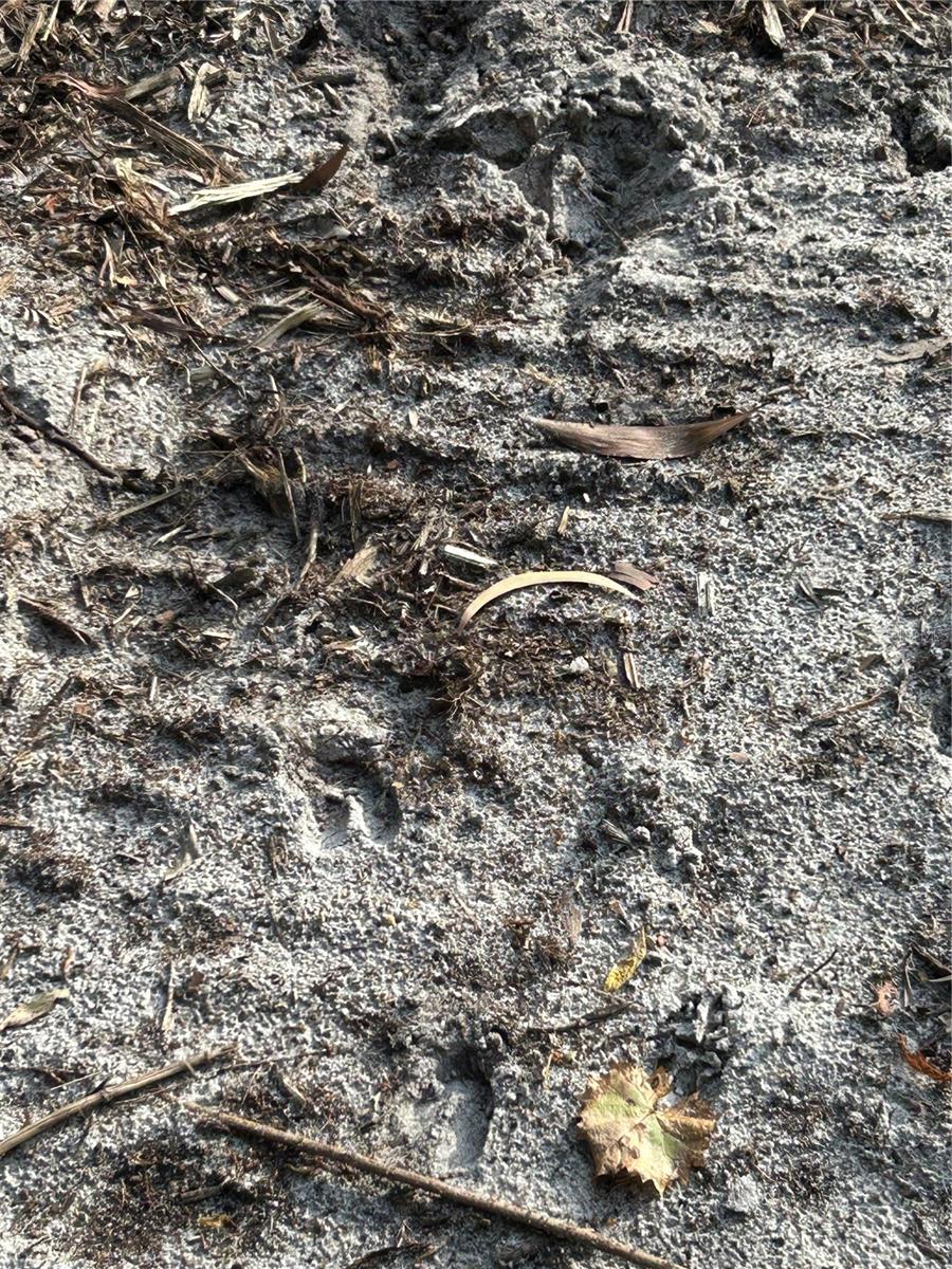 ACREAGE HEADER - Land