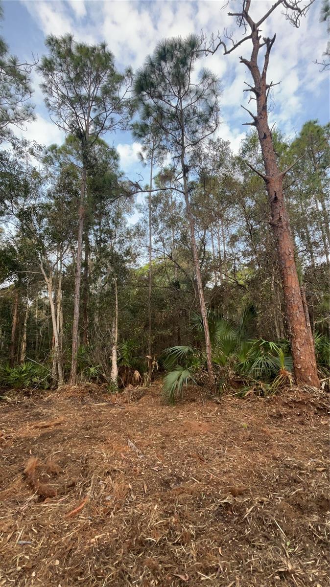 ACREAGE HEADER - Land