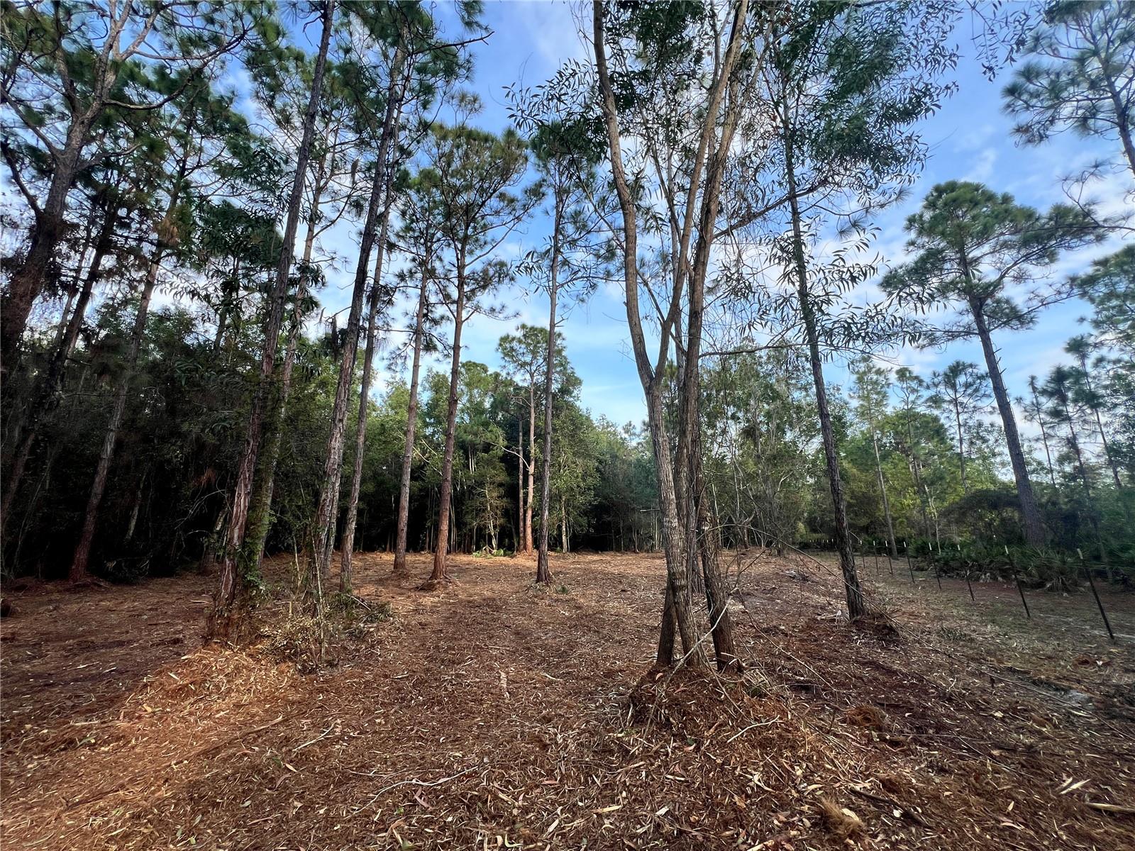 ACREAGE HEADER - Land