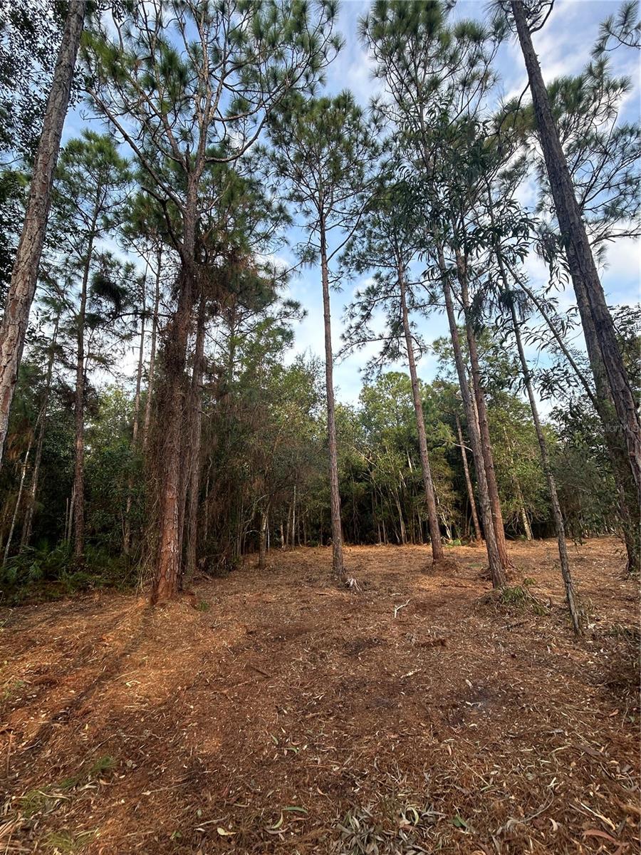 ACREAGE HEADER - Land