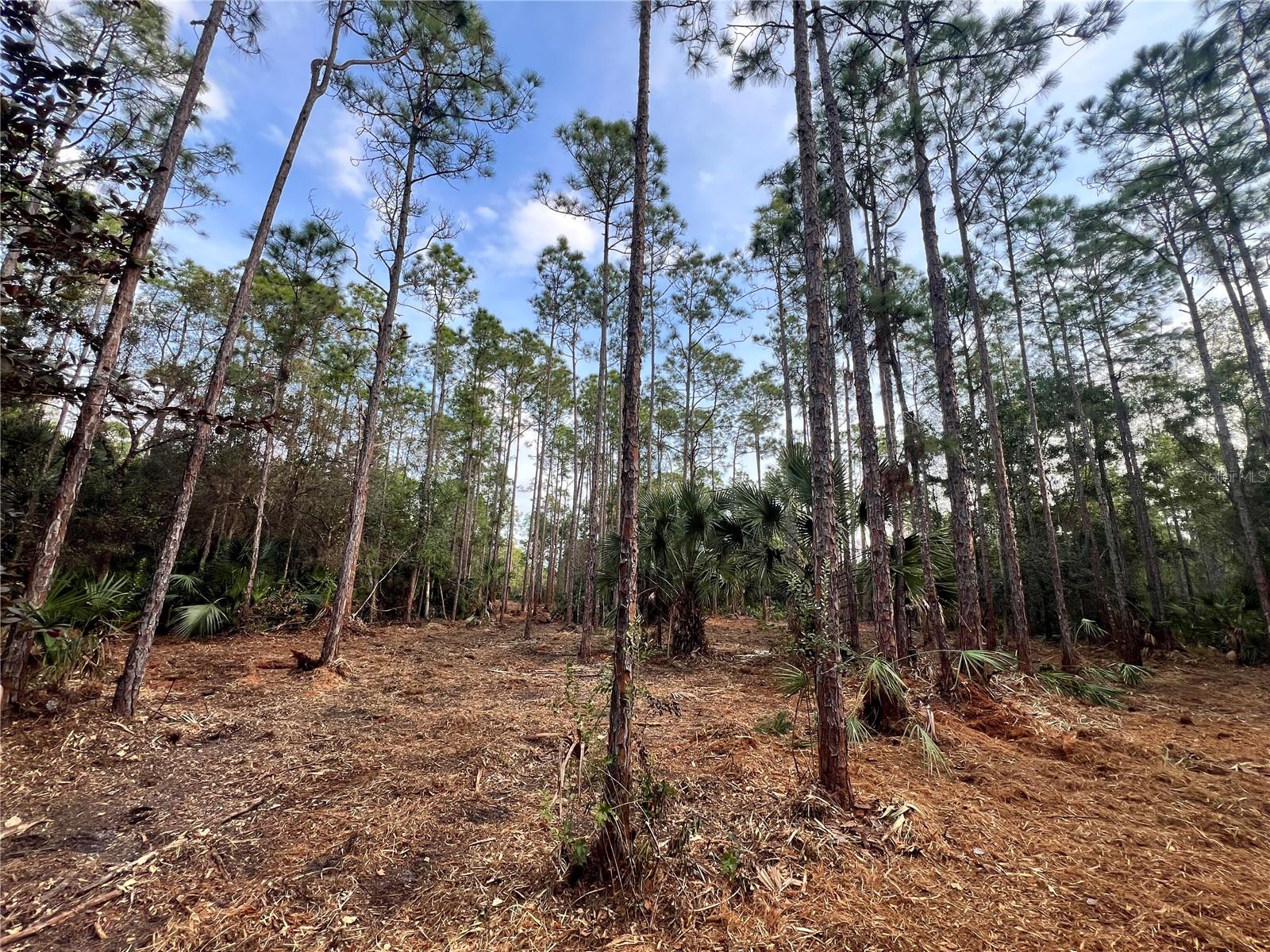 ACREAGE HEADER - Land