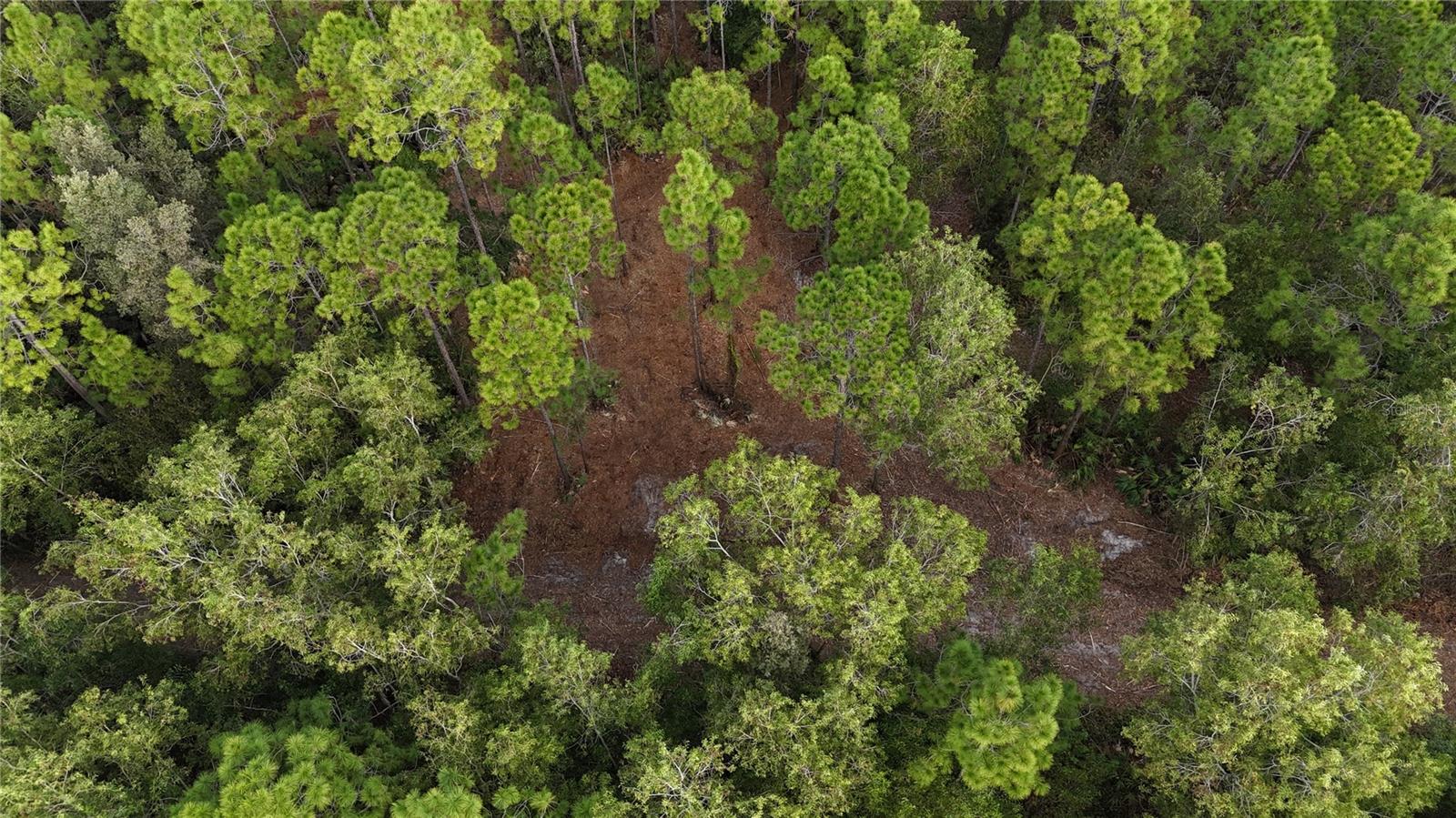 ACREAGE HEADER - Land