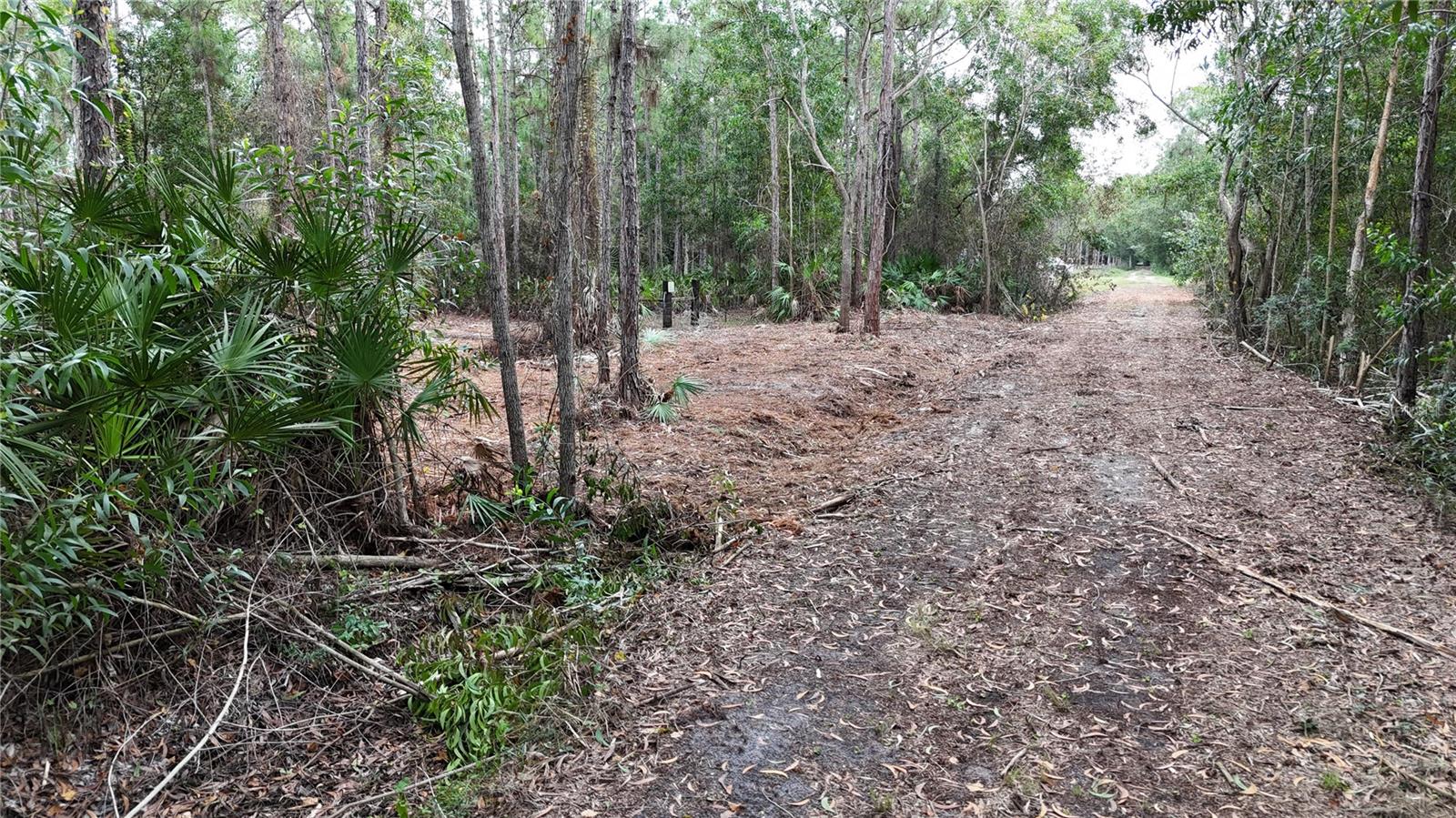 ACREAGE HEADER - Land