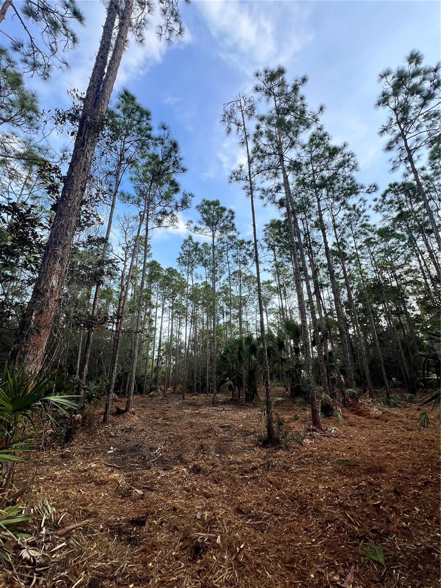 ACREAGE HEADER - Land