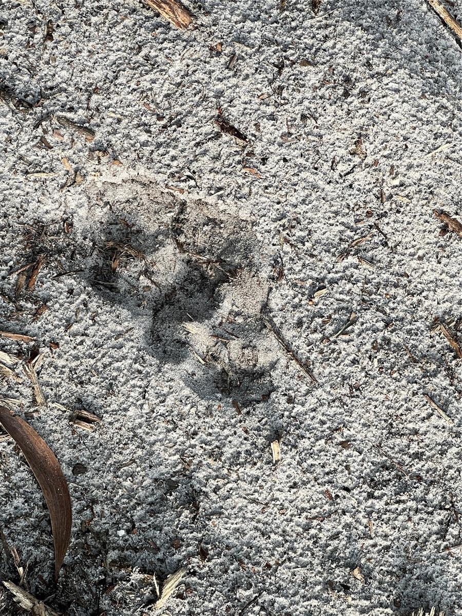 ACREAGE HEADER - Land