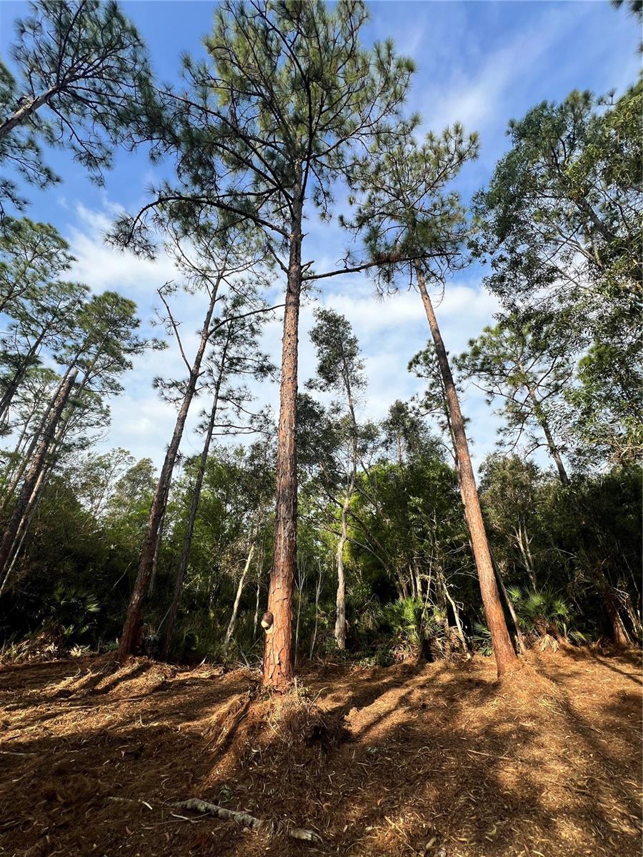 ACREAGE HEADER - Land