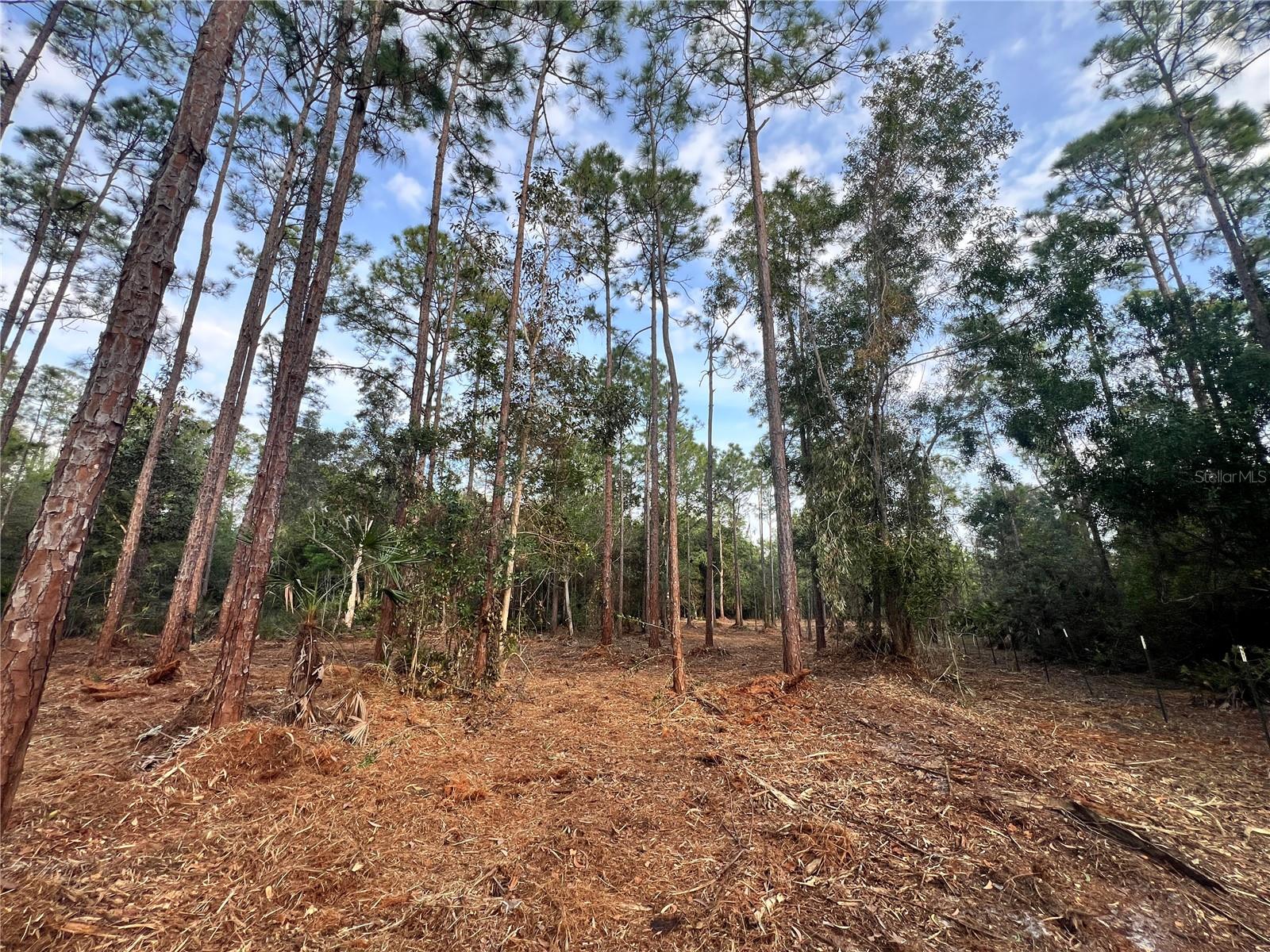 ACREAGE HEADER - Land