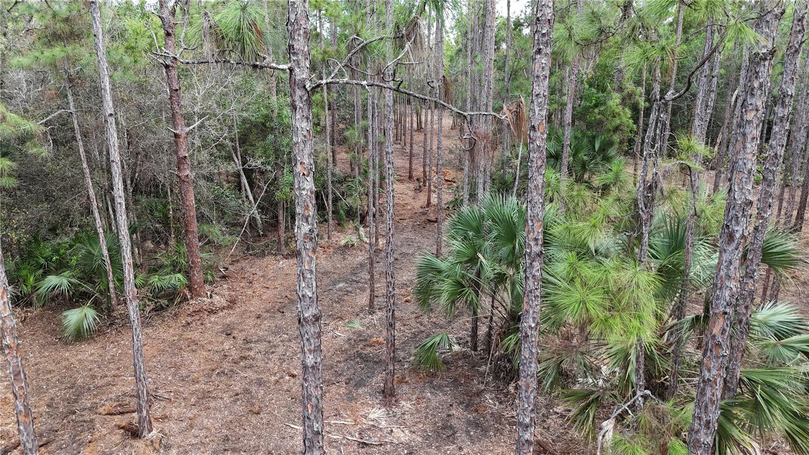 ACREAGE HEADER - Land