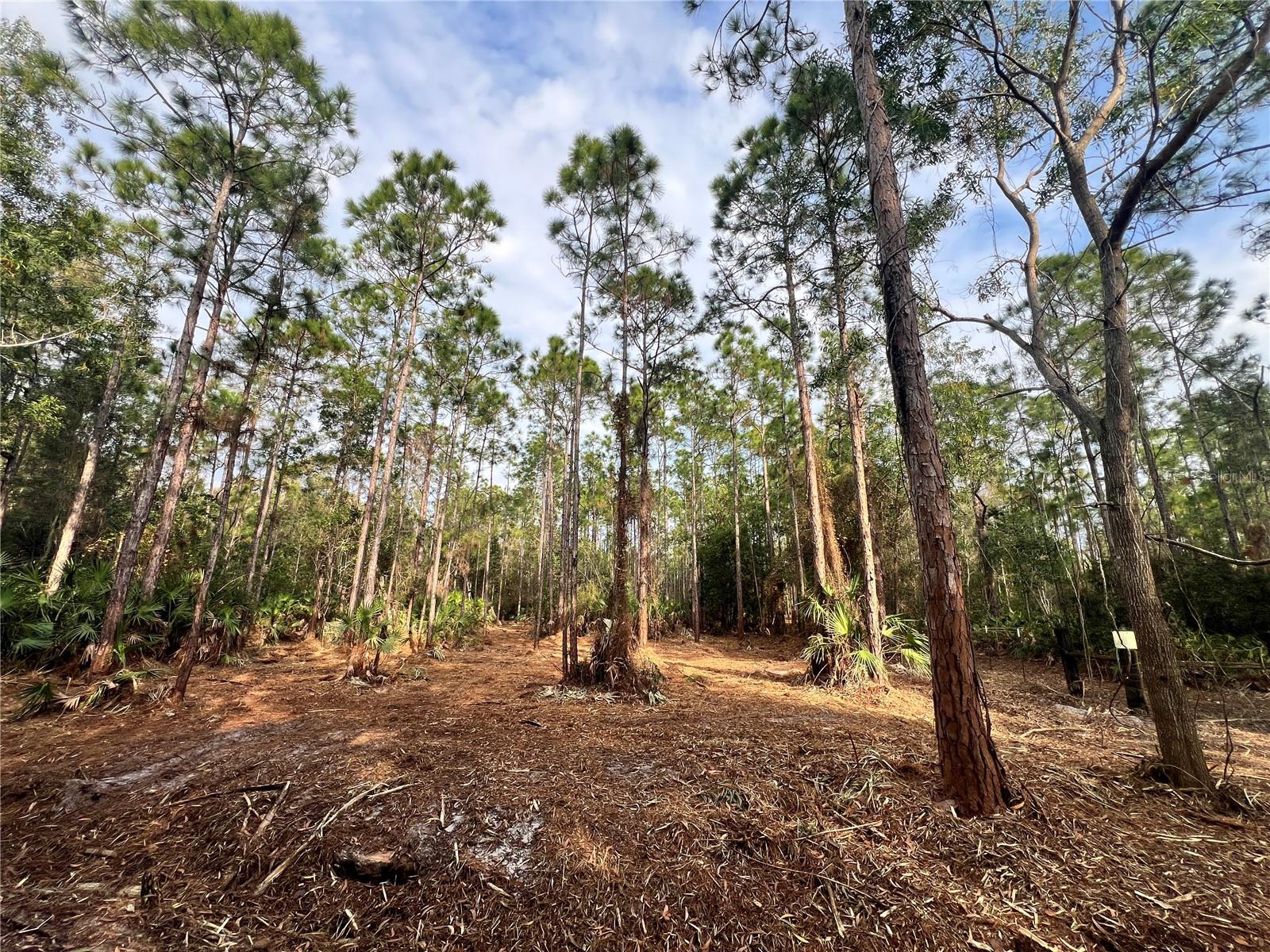 ACREAGE HEADER - Land