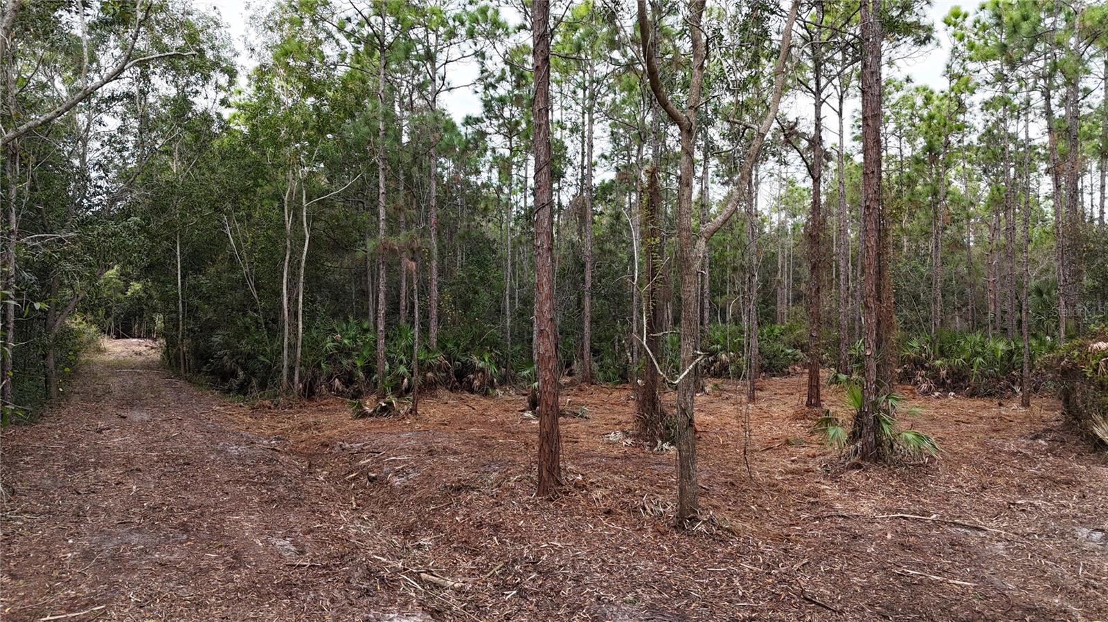 ACREAGE HEADER - Land