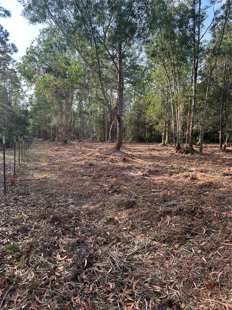 ACREAGE HEADER - Land